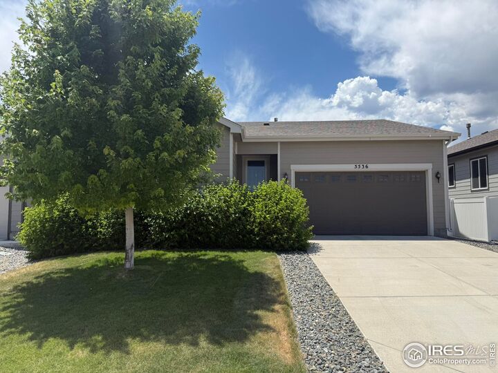 5536 Bexley Dr  Windsor CO 80550 photo