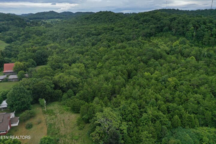 66.48 Acres Milldale Rd  Dandridge TN 37725 photo