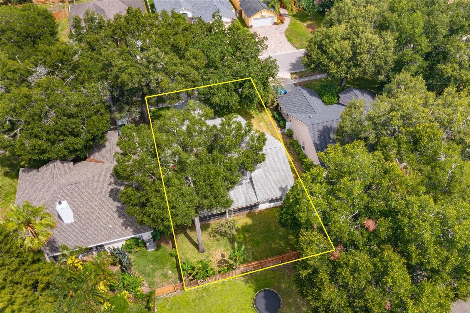 Property Photo:  1354 American Elm Drive  FL 32714 