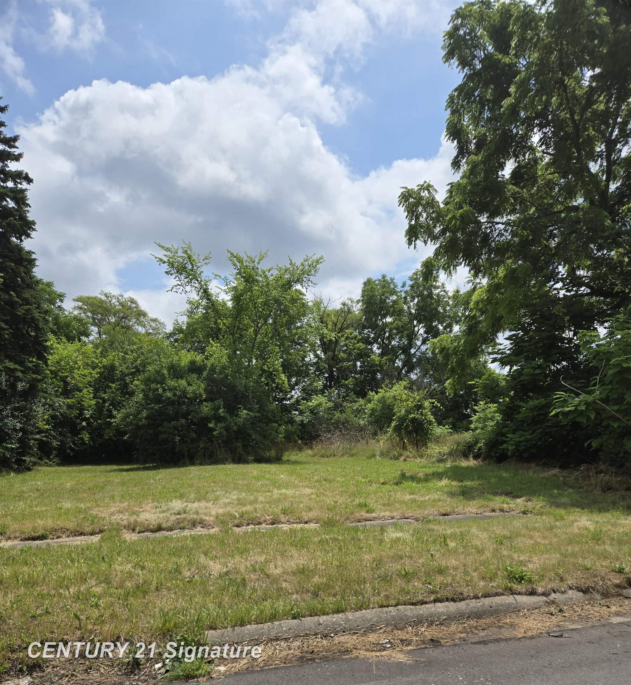 Property Photo:  Donaldson Street  MI 48504 