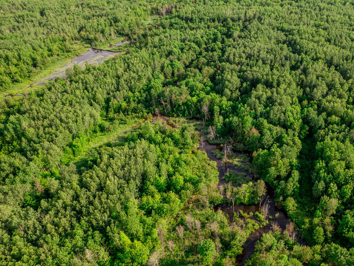 Property Photo:  30659 Townline Road  MI 49953 