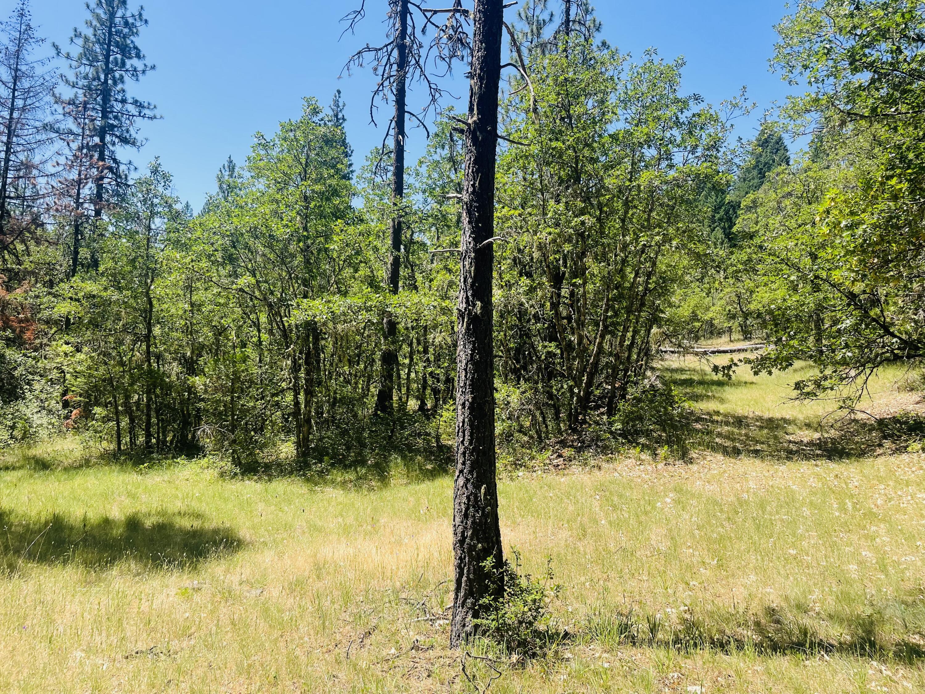 Property Photo: 826 Ulrich Road OR 97536