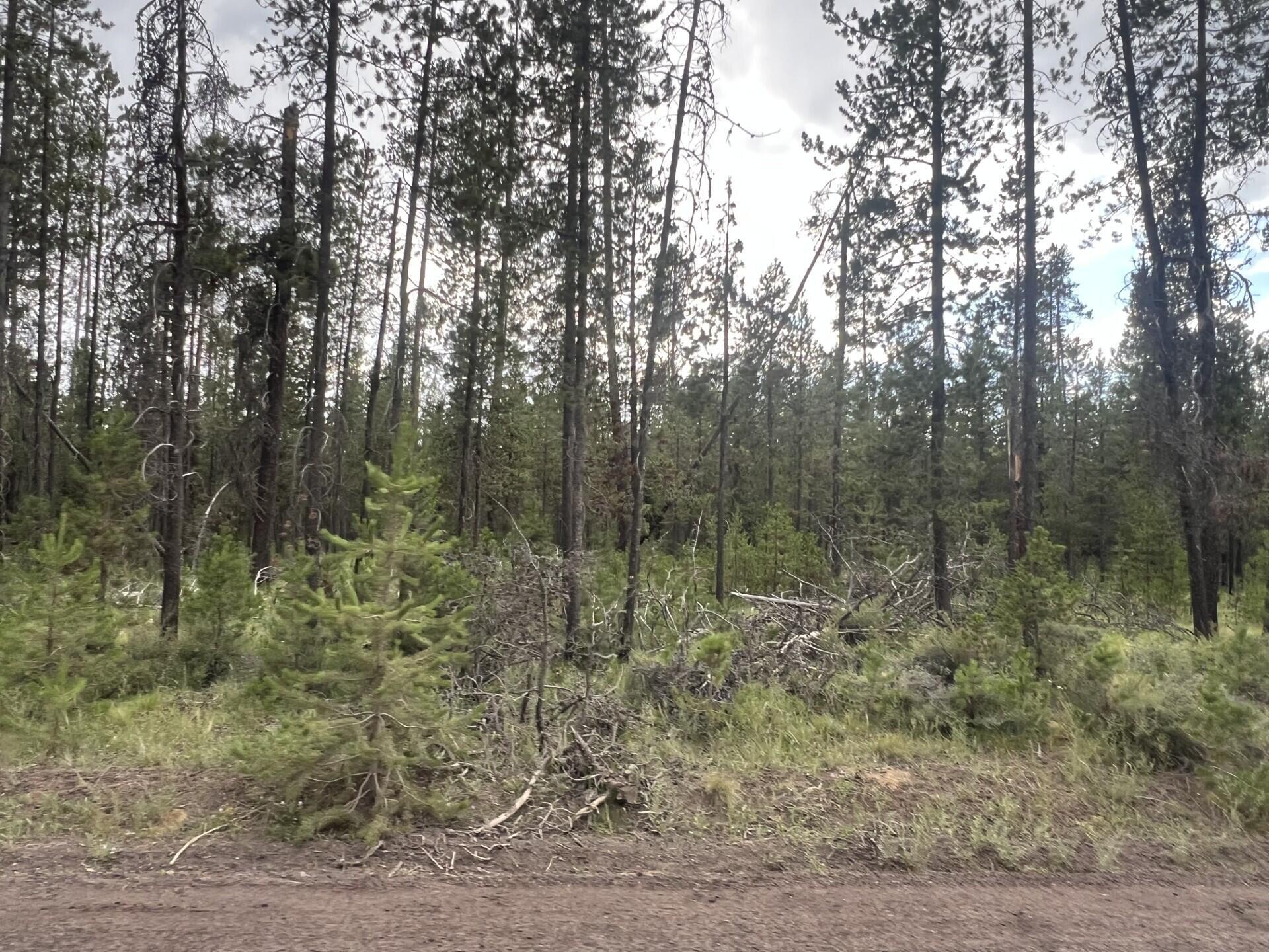 Property Photo: 55970 Browning Drive OR 97707