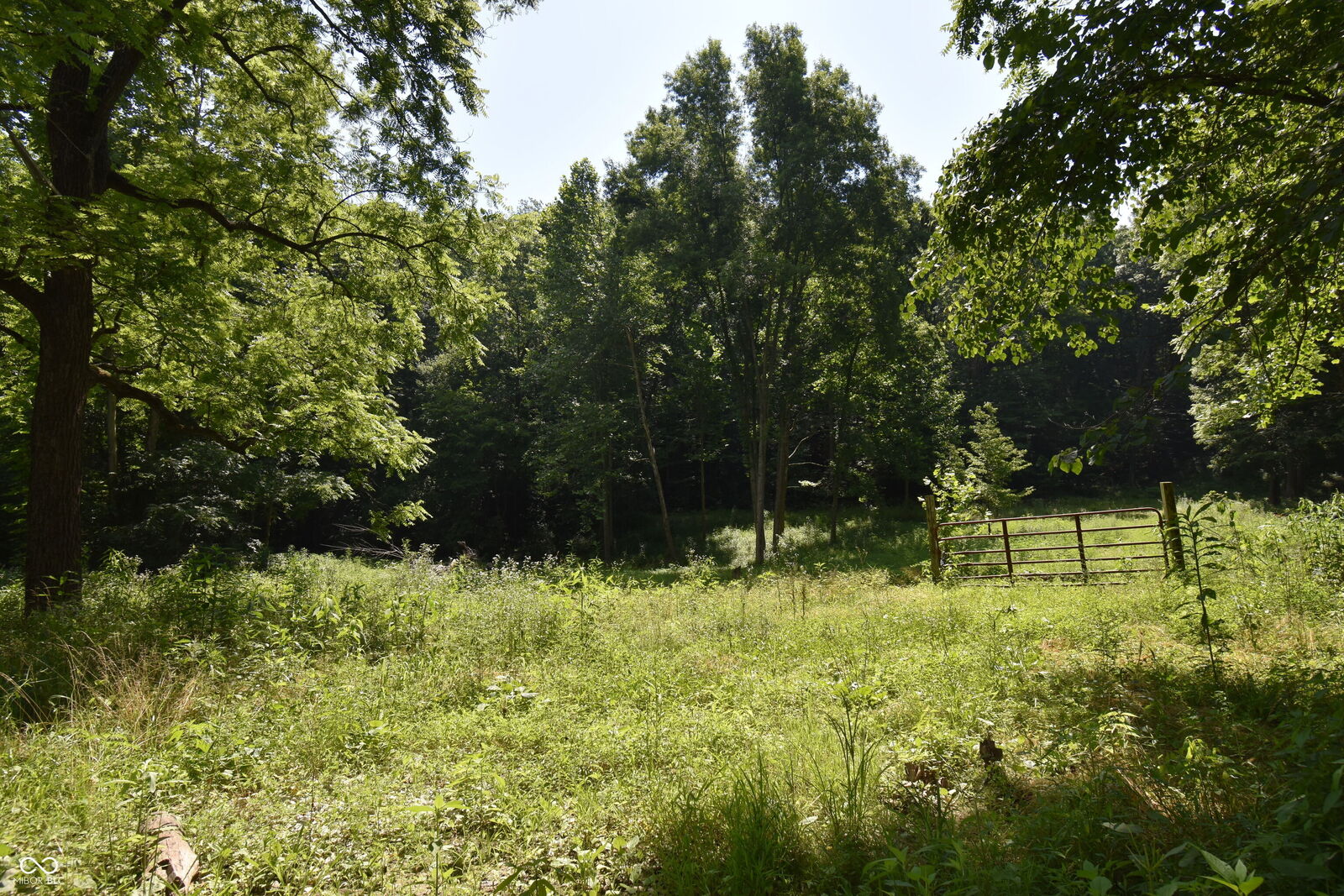 Property Photo: 525 Catholic Cemetery Road IN 46151