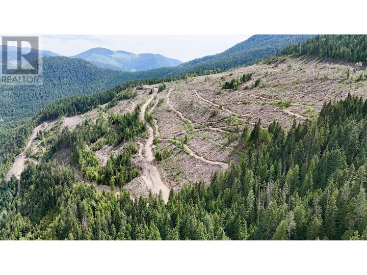 Property Photo:  Quartz Creek Forest Service Road Road  BC V0G 2K0 