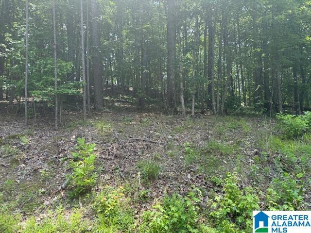 Property Photo: 62 Bluebird Lane 11 AL 35146