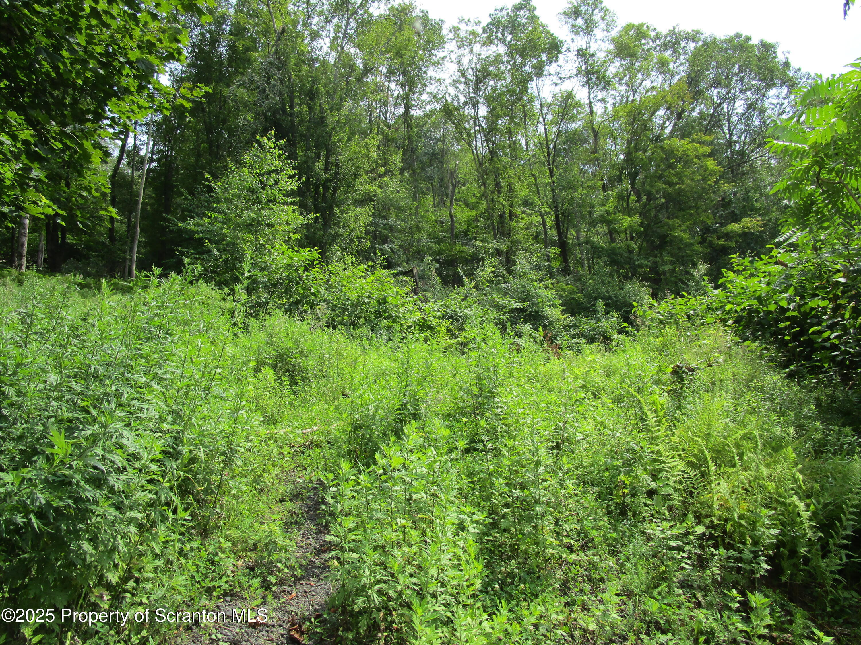 Property Photo: 351 Prospect Street PA 18847