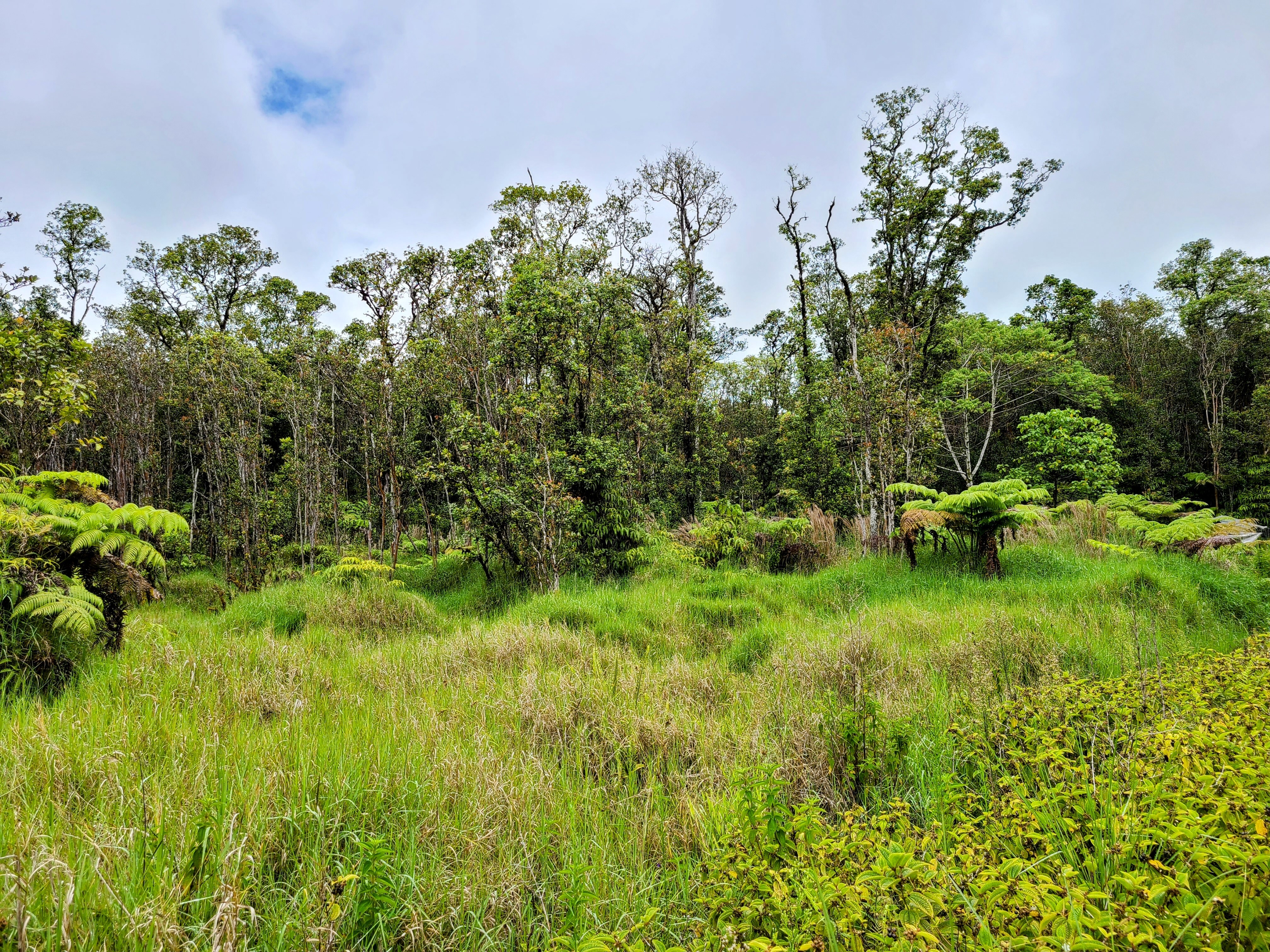 Property Photo:  Road 7  HI 96785 