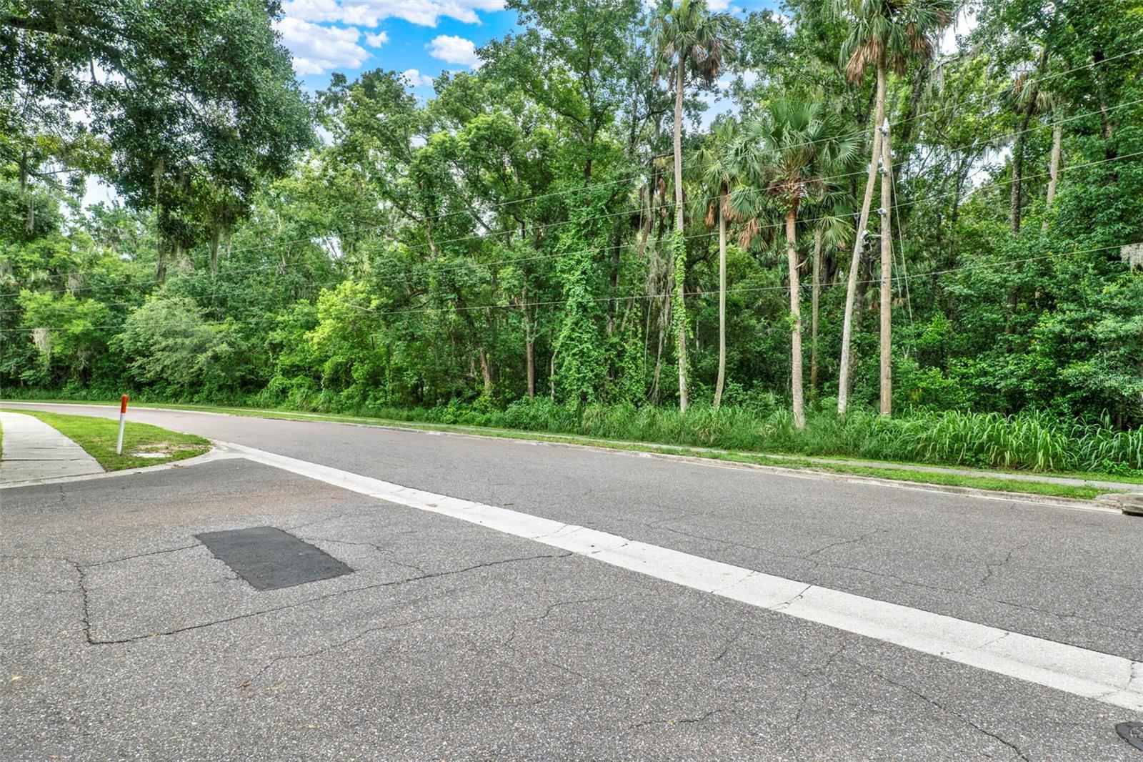 Property Photo: 390 Lake McCoy Drive FL 32712