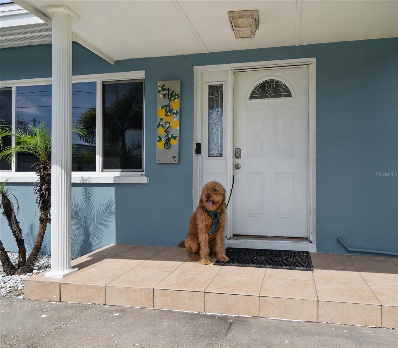 Property Photo: 1226 Robin Hood Lane FL 34698