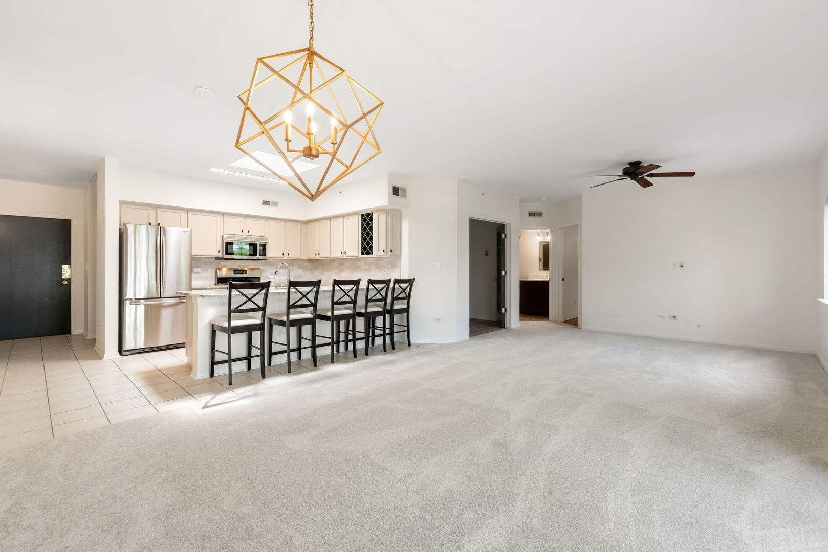 Property Photo:  55 S Hale Street 403  IL 60067 