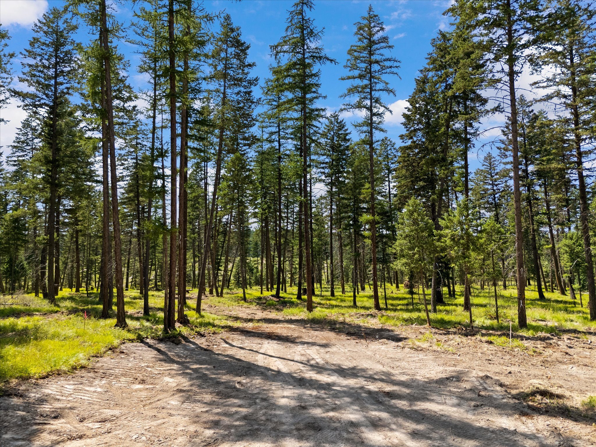 Property Photo: 4554 US Hwy 93 S MT 59937