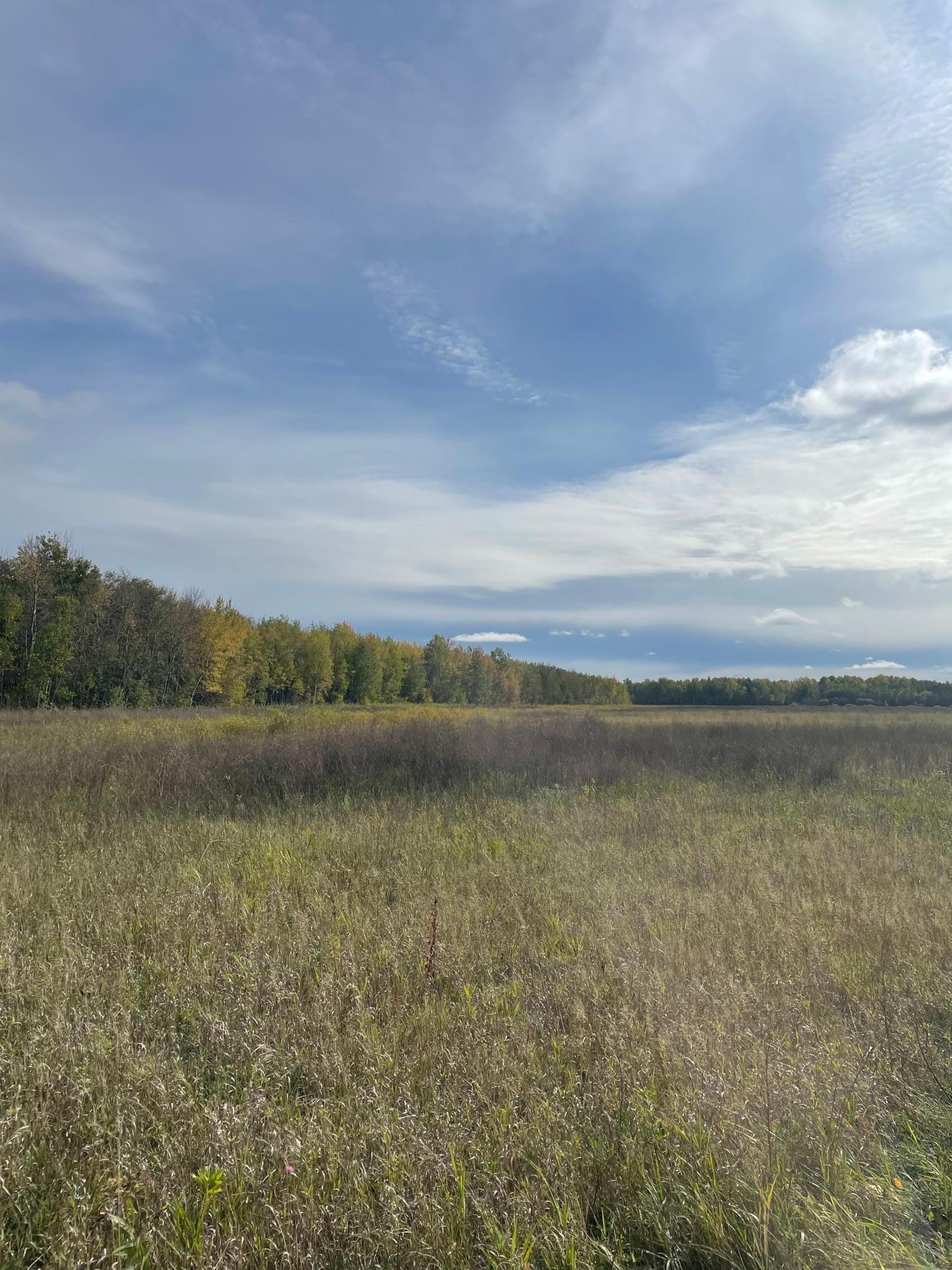 Property Photo: 15904 Shoreline Drive NE MN 56685