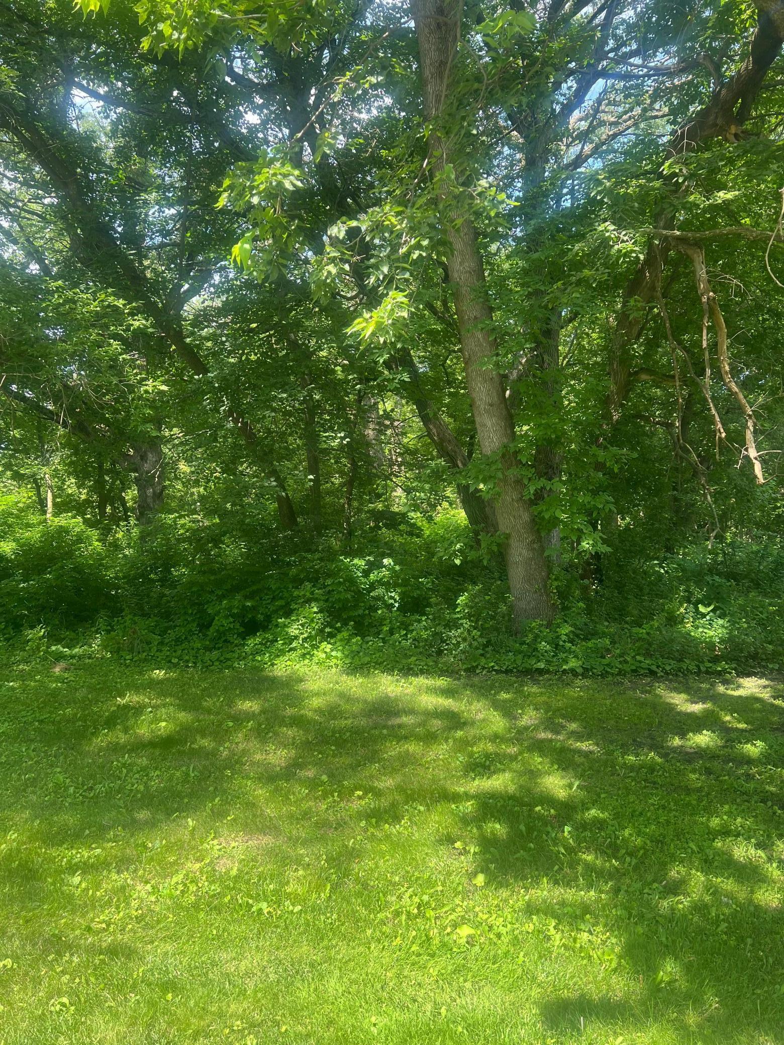 Property Photo: Tbd Lot 2 Envelope 2 Baycrest Road MN 56334