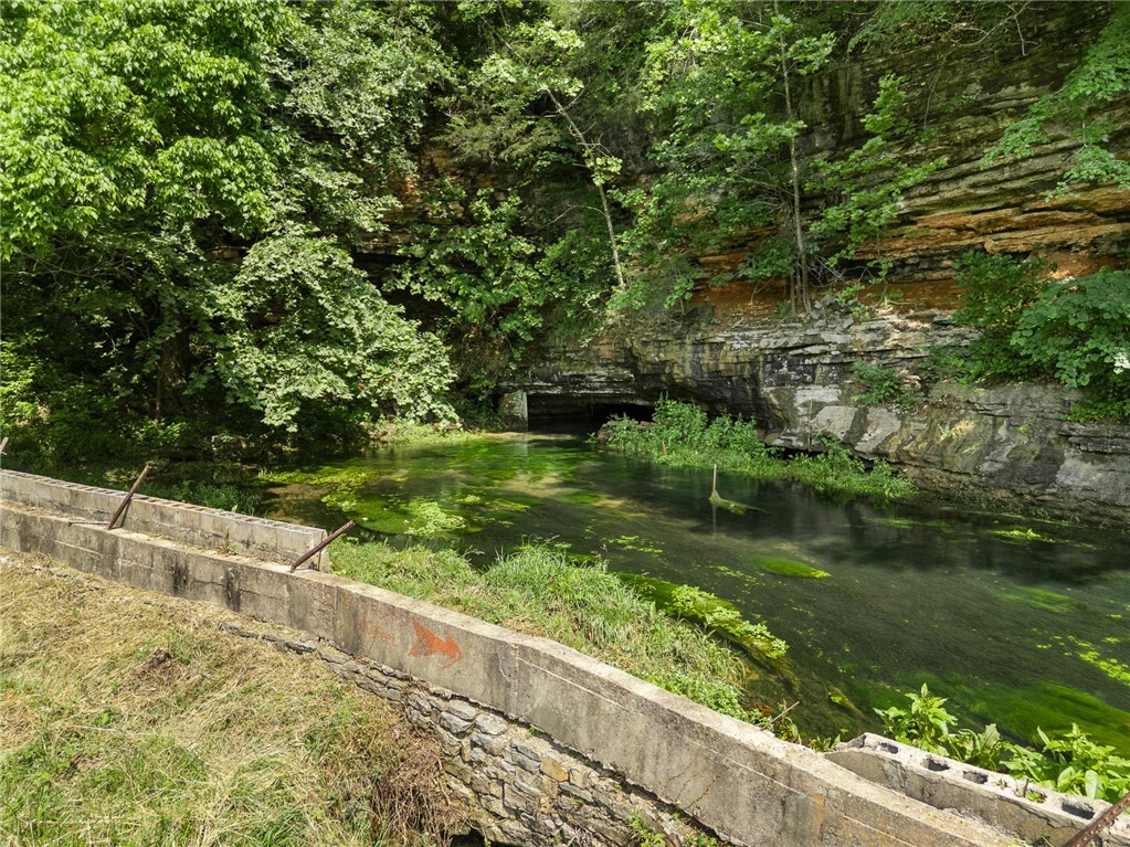 Property Photo: 275 Devitos Loop AR 72601