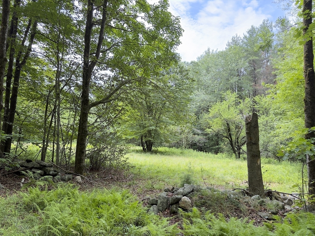 Property Photo: 0 John Ford Road MA 01330