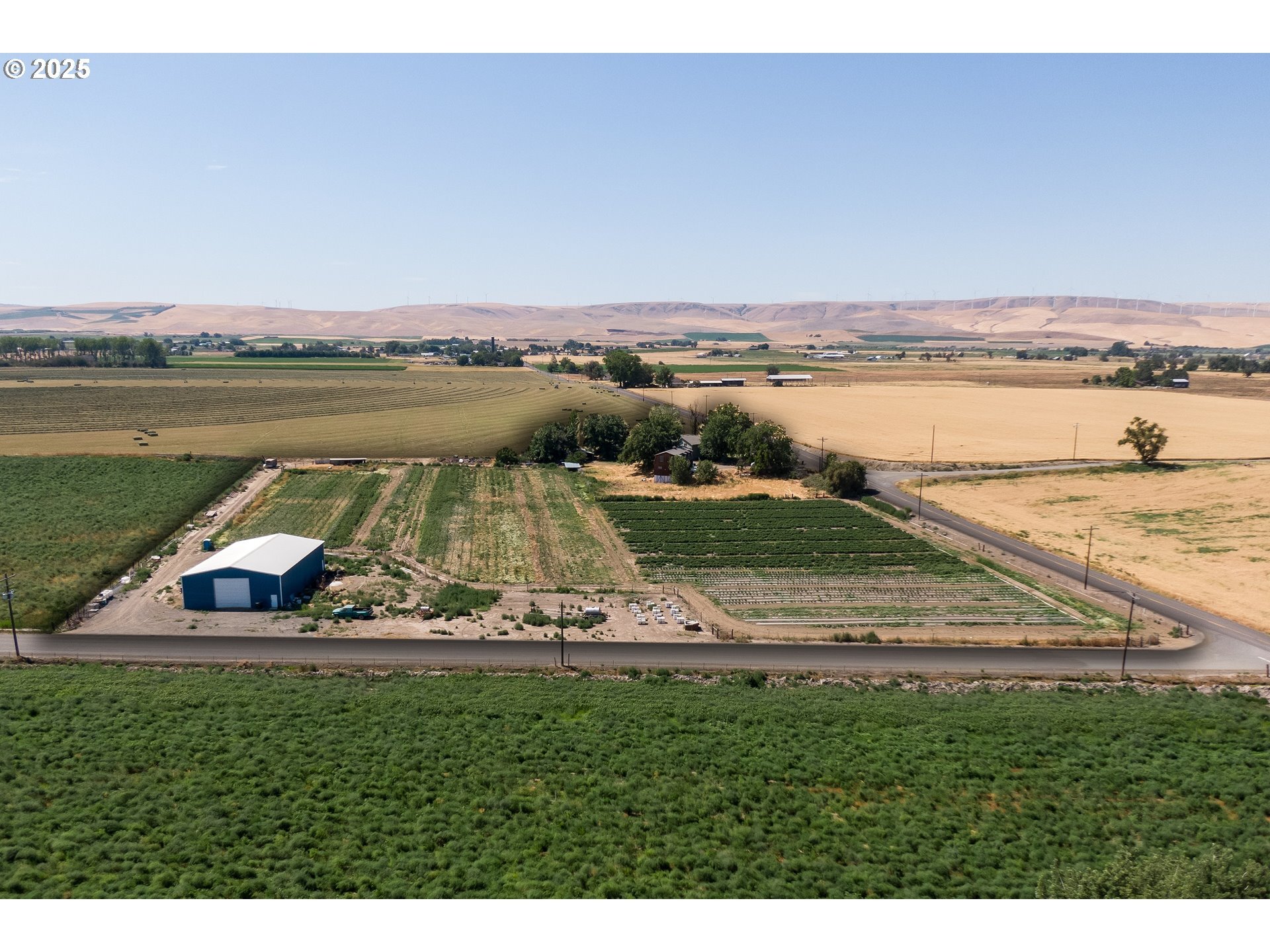 51299 Highway 332  Milton-Freewater OR 97862 photo