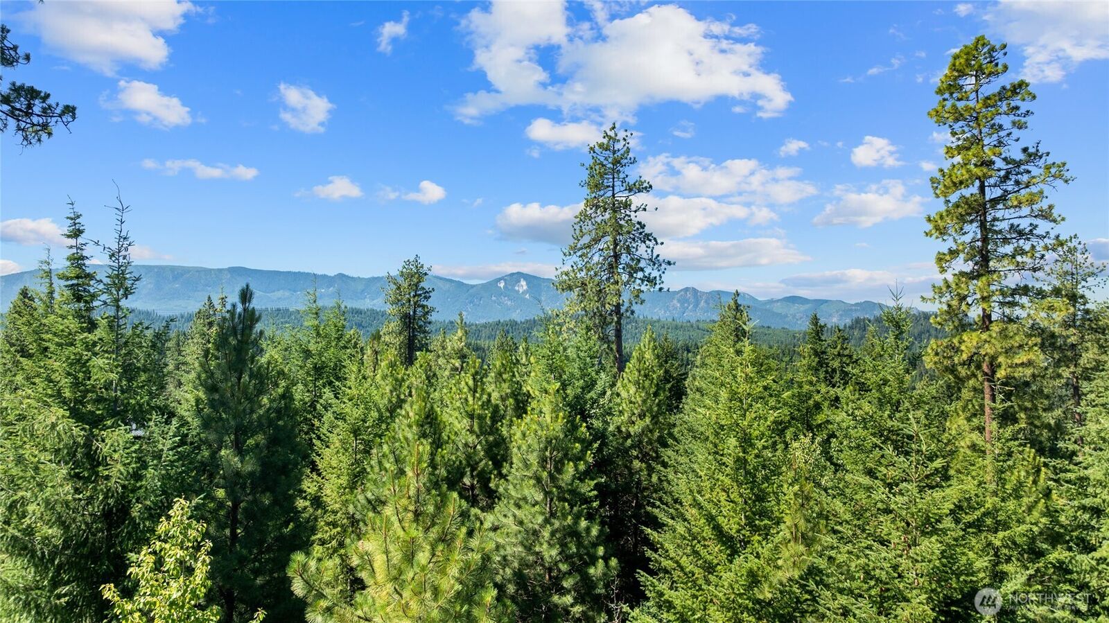 Property Photo: 3690 Swiftwater Drive WA 98922
