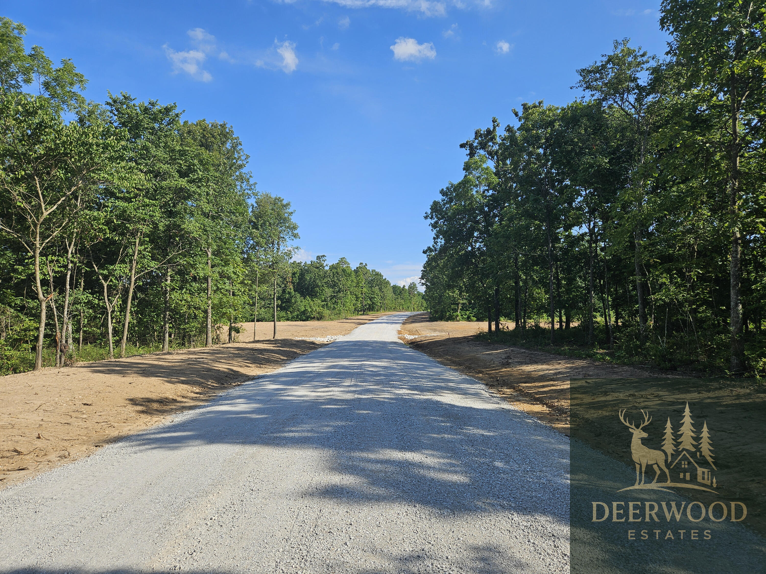 Lot 10 Deerwood Estates  Aurora MO 65605 photo