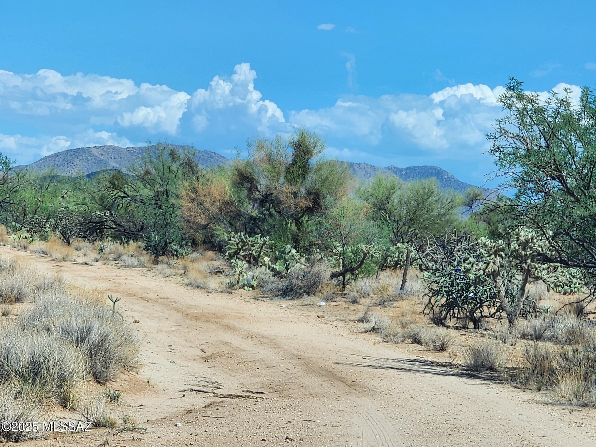 Property Photo: 16093 W Montrose Avenue 185 AZ 85736