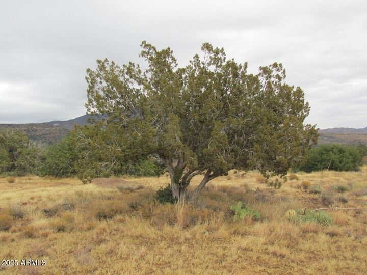 Property Photo:  27668 E Diamond Drive 20  AZ 85264 