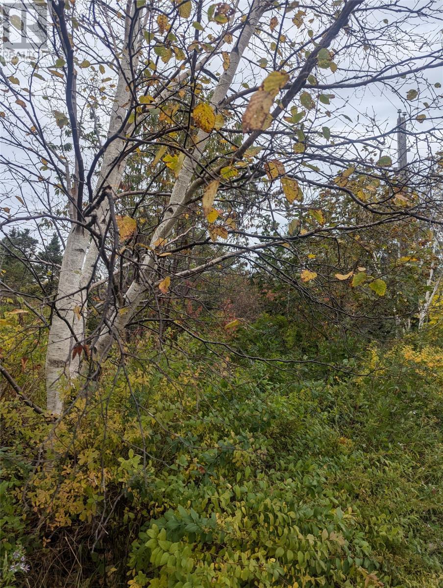 Photo de la propriété:  6-10 Parsons Place  NL A1X 7B9 
