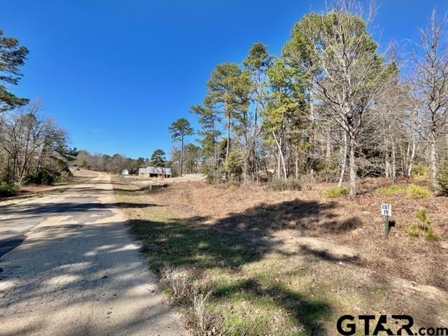 Property Photo: Lot 10 Cr 3545 TX 75765
