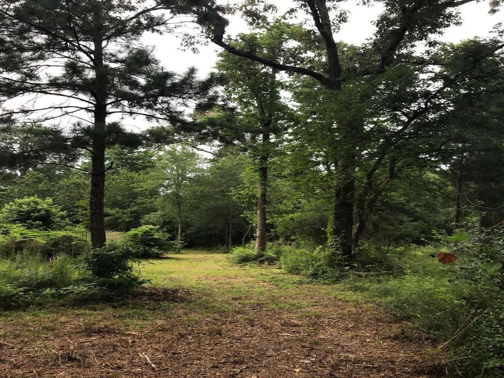 Property Photo: 26150 Grand Pines Road TX 77355