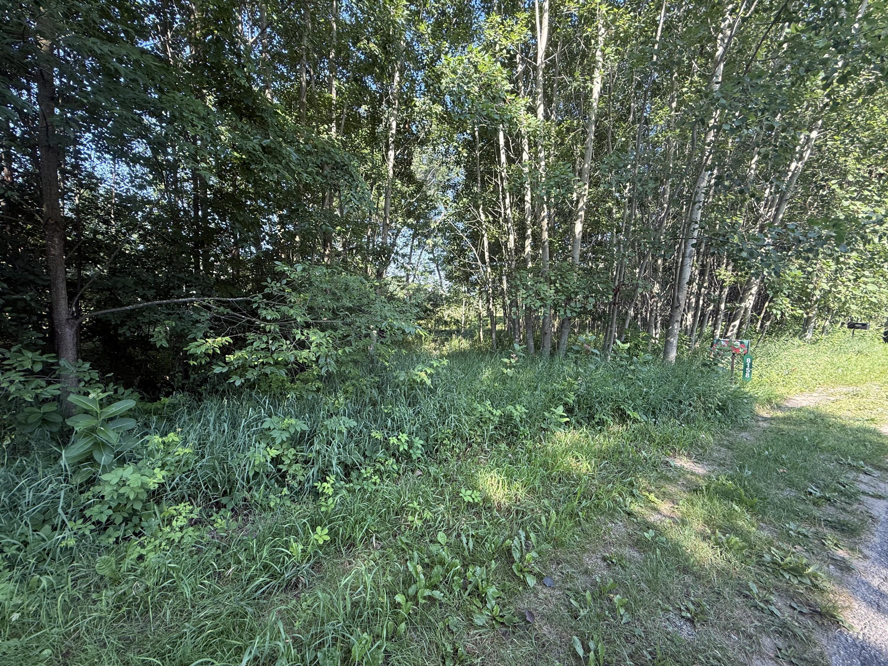 Property Photo: Tbd W Royal Road MI 49346