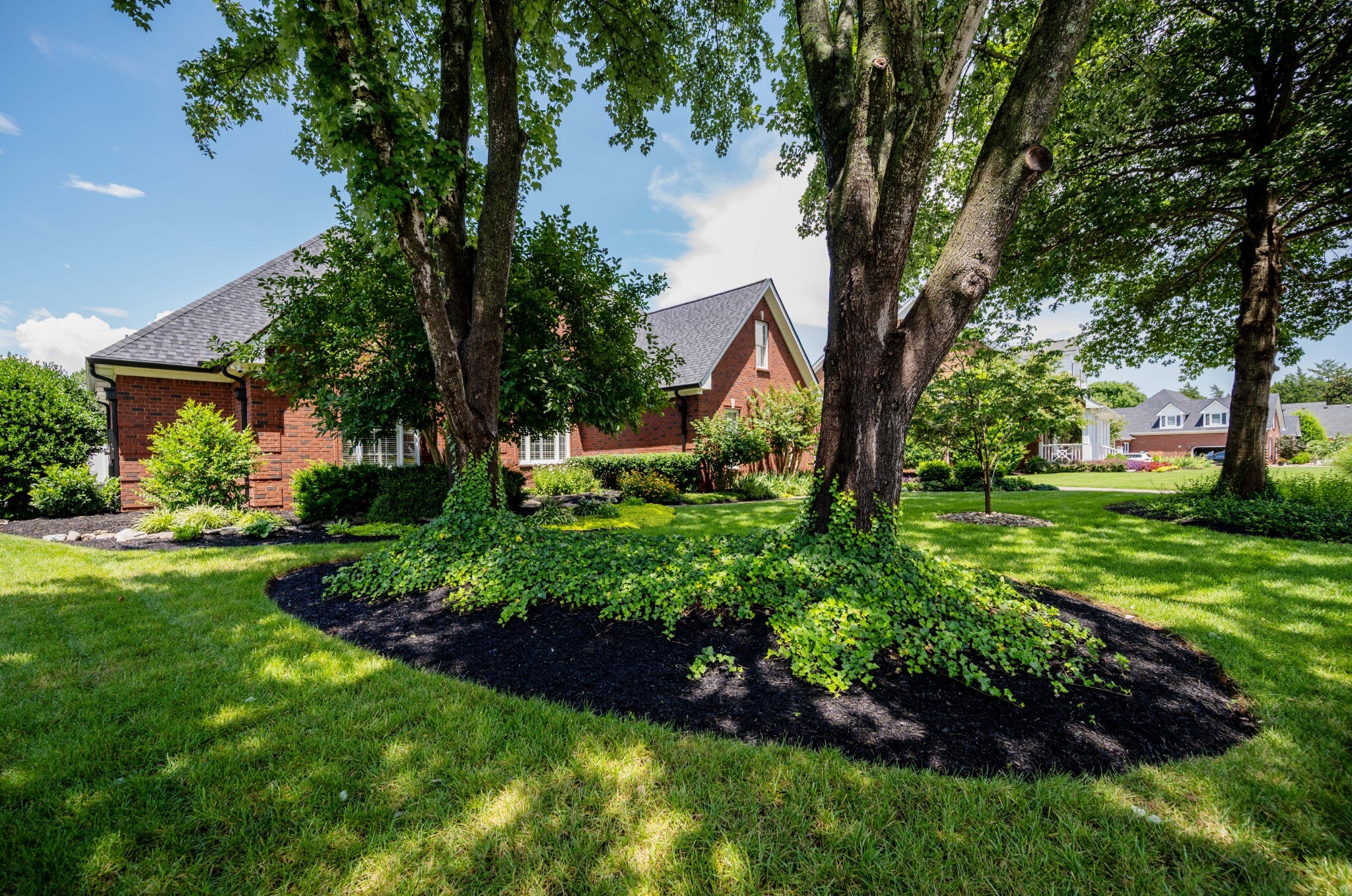 Property Photo: 1515 Bradberry Dr TN 37130