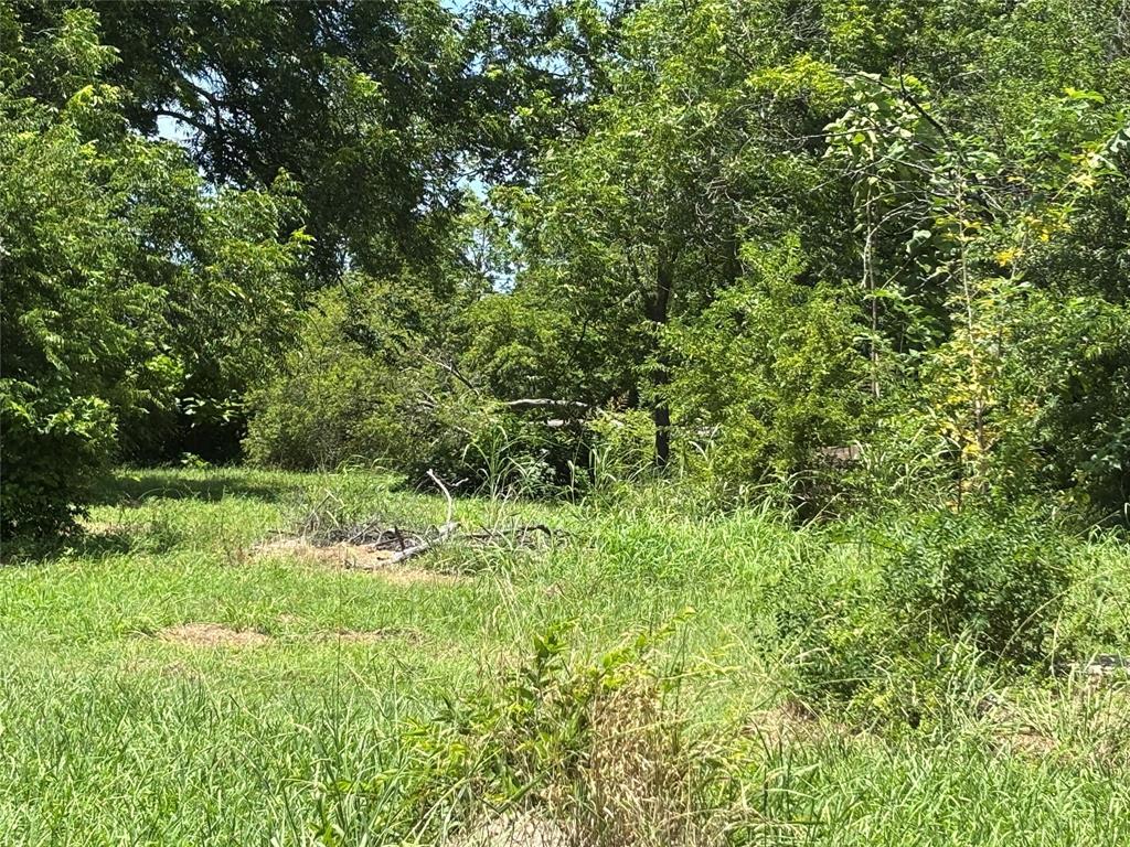 Property Photo:  1124 Jones Street  TX 75401 