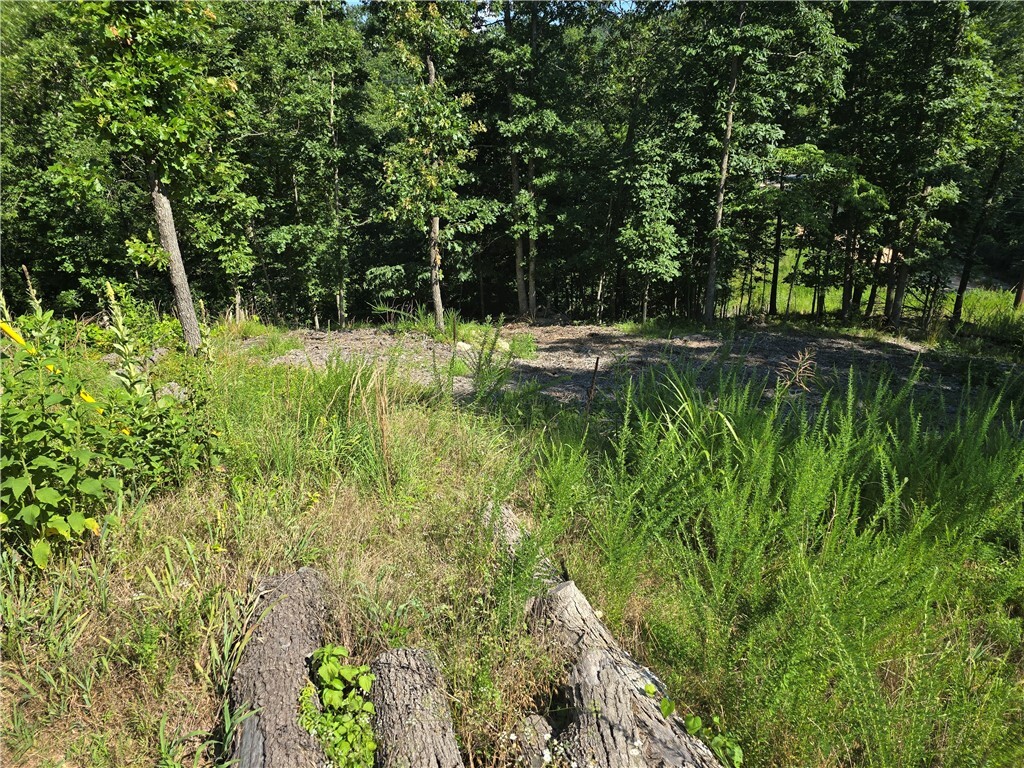 Property Photo:  Esculapia Hollow Road Lot 9  AR 72758 