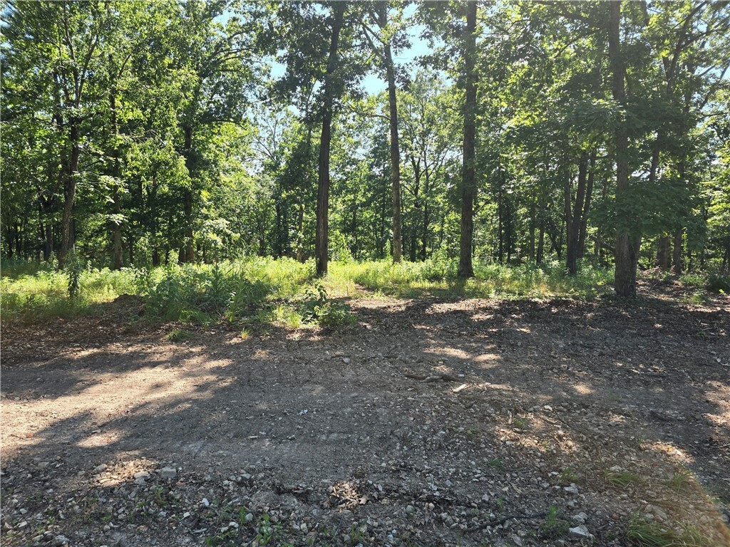 Property Photo:  Esculapia Hollow Road Lot 4  AR 72758 