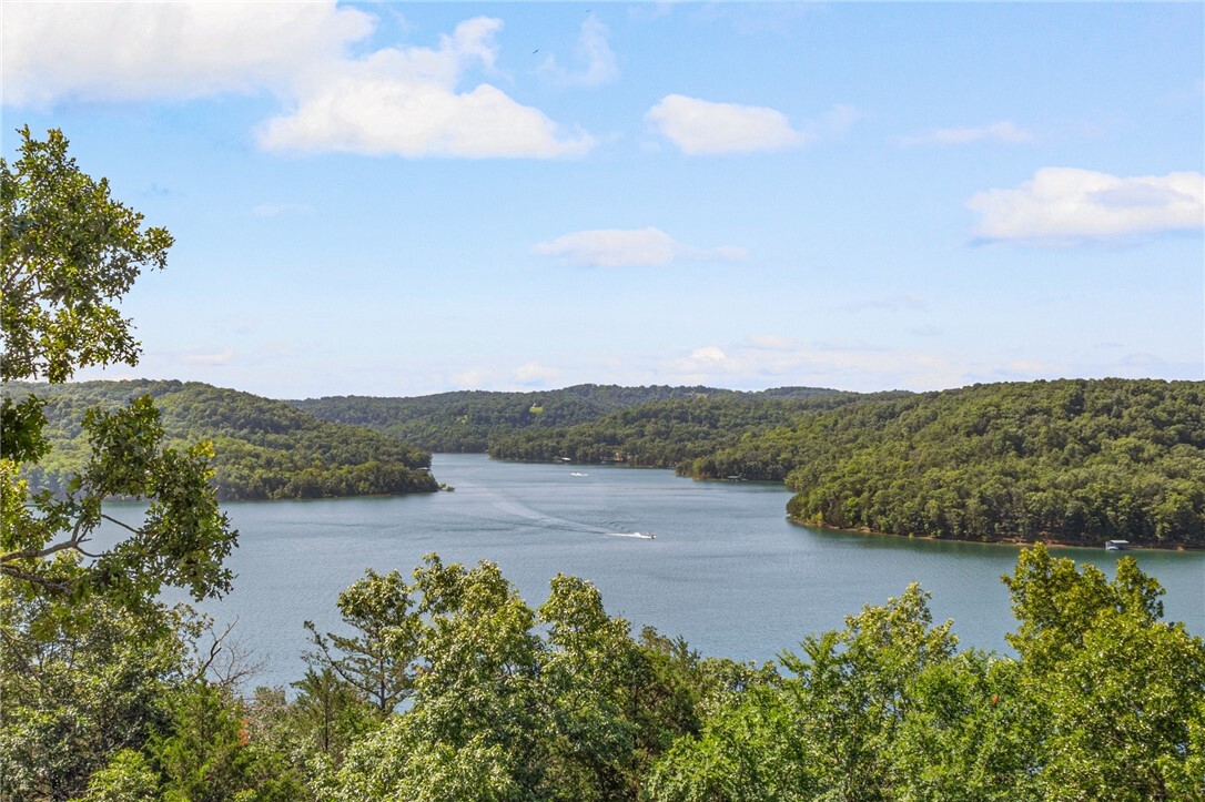 Property Photo:  444 Beaverview Drive  AR 72631 