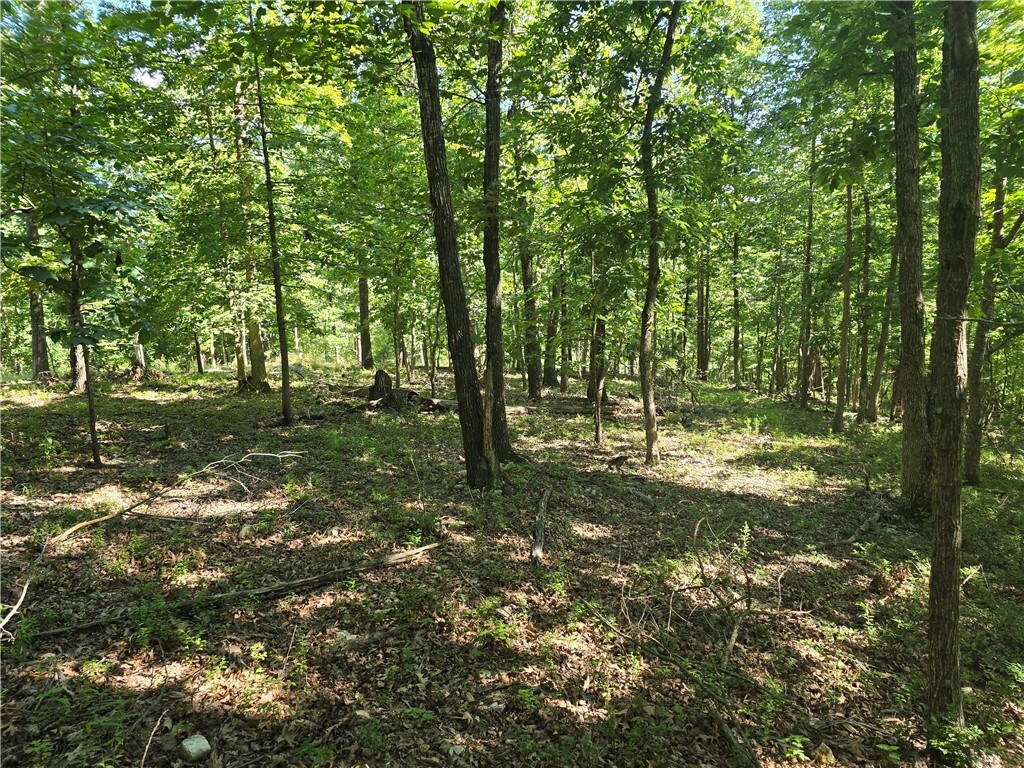 Property Photo:  Esculapia Hollow Road Lot 7  AR 72758 