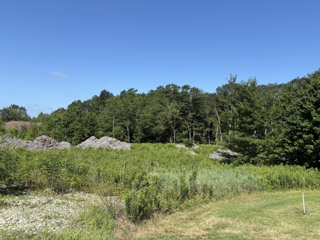 Property Photo:  193 Paxton Street  MA 01524 