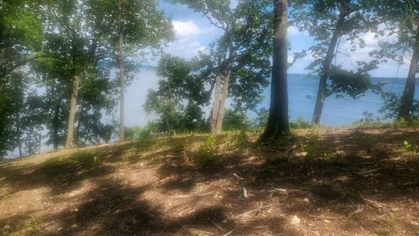 Property Photo: 00 Highland Cove AL 35630 - FLORENCE