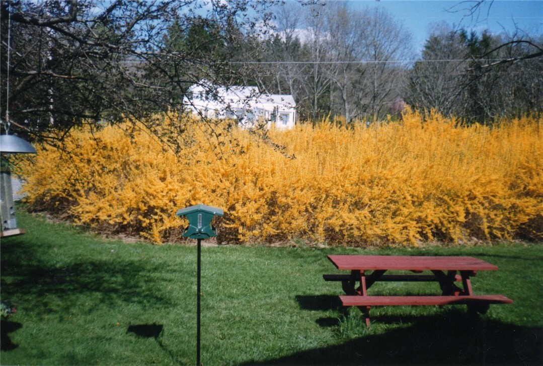 Property Photo: 102 Turkey Hill Road NY 14850