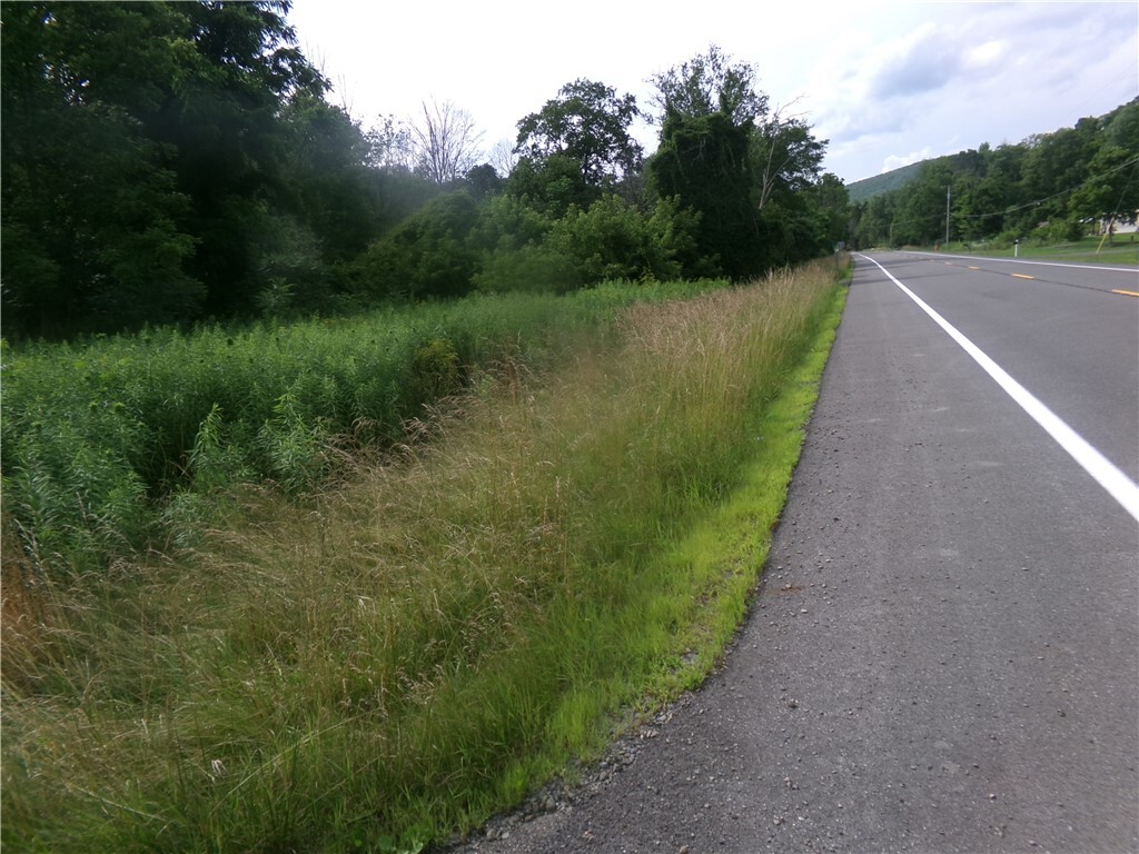 Property Photo:  1470 Ithaca Road Road  NY 13864 