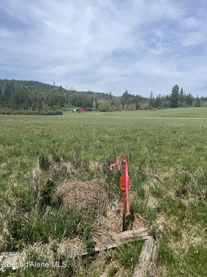 Property Photo:  Nka 100 Windfall Pass Rd  ID 83861 