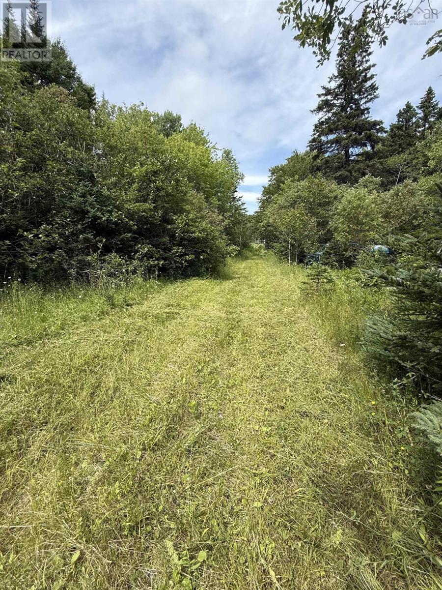 Property Photo:  5569 Highway 105 Highway  NS B0E 1B0 