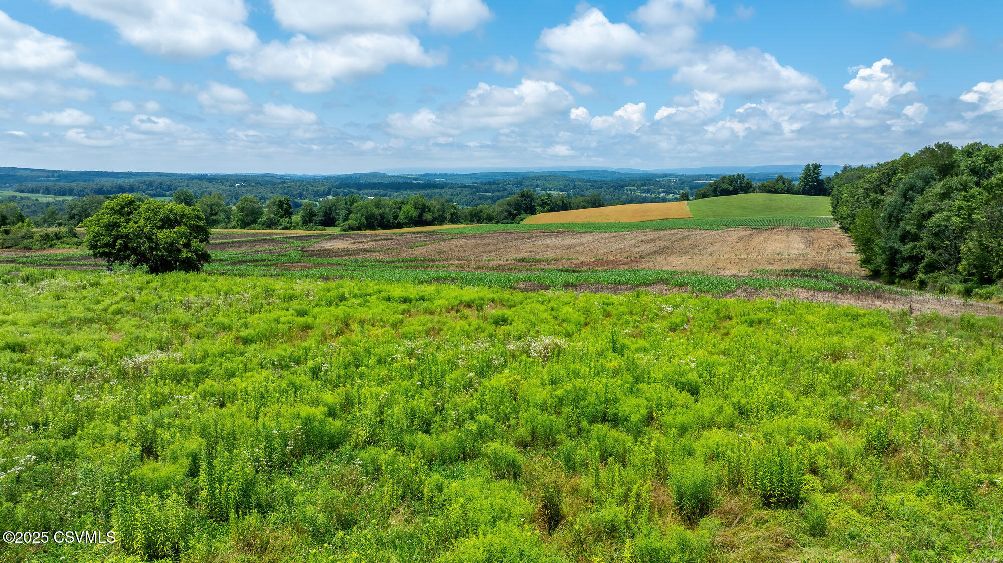 Property Photo:  225 Cherry Hill Road  PA 18655 