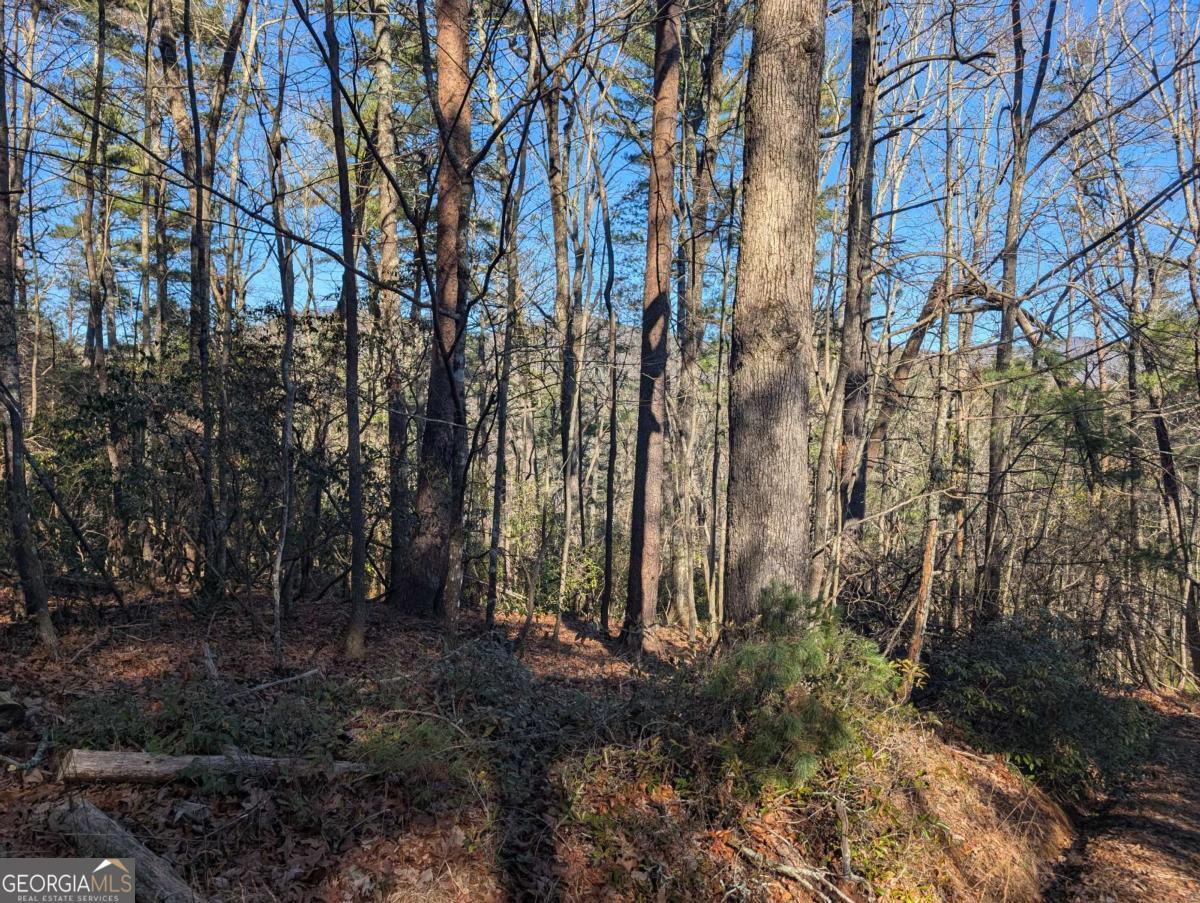 Property Photo: Lot J251 Pine Ridge Court GA 30536