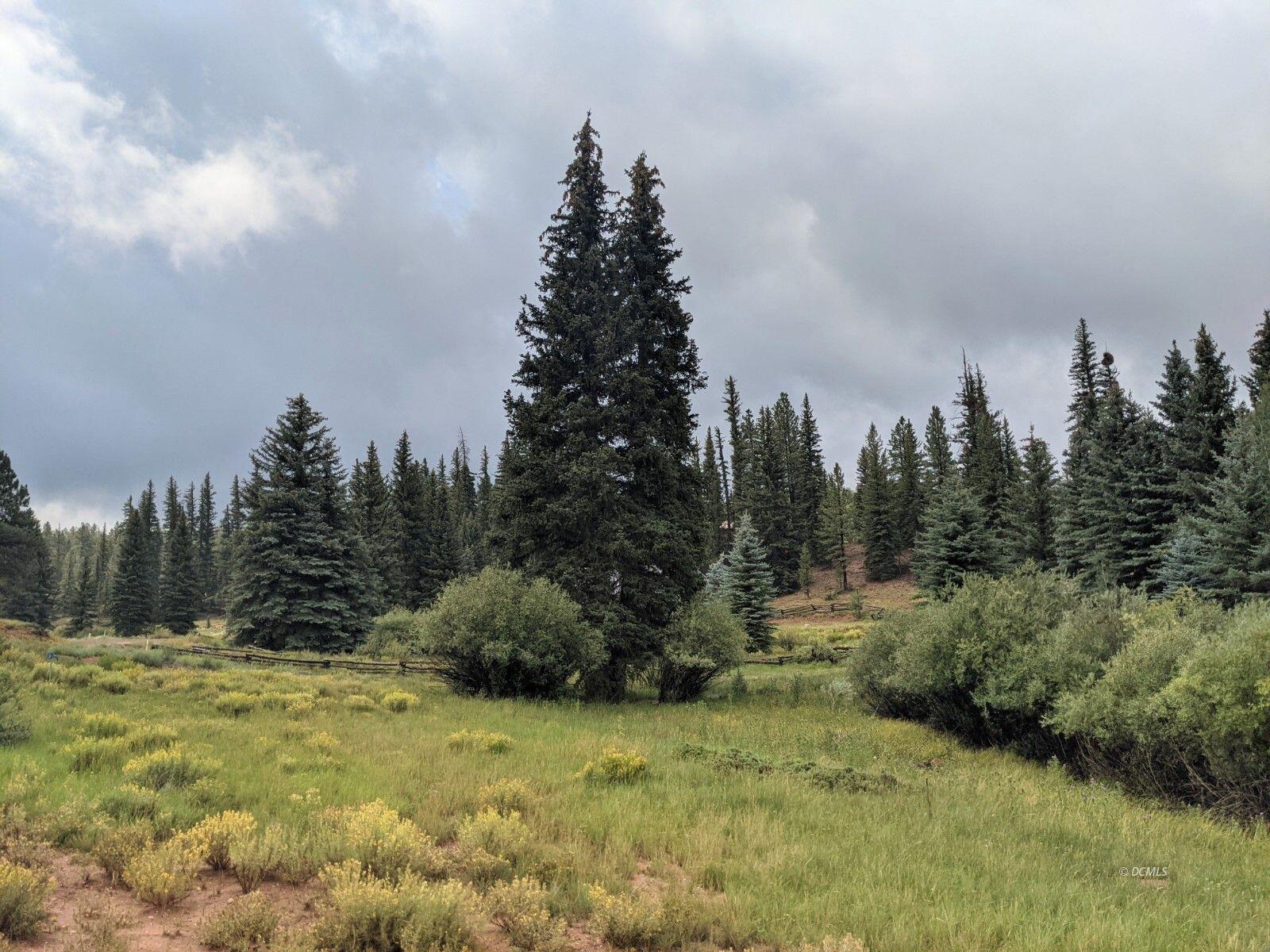 175 N Apollo Trail  Duck Creek Village UT 84762 photo