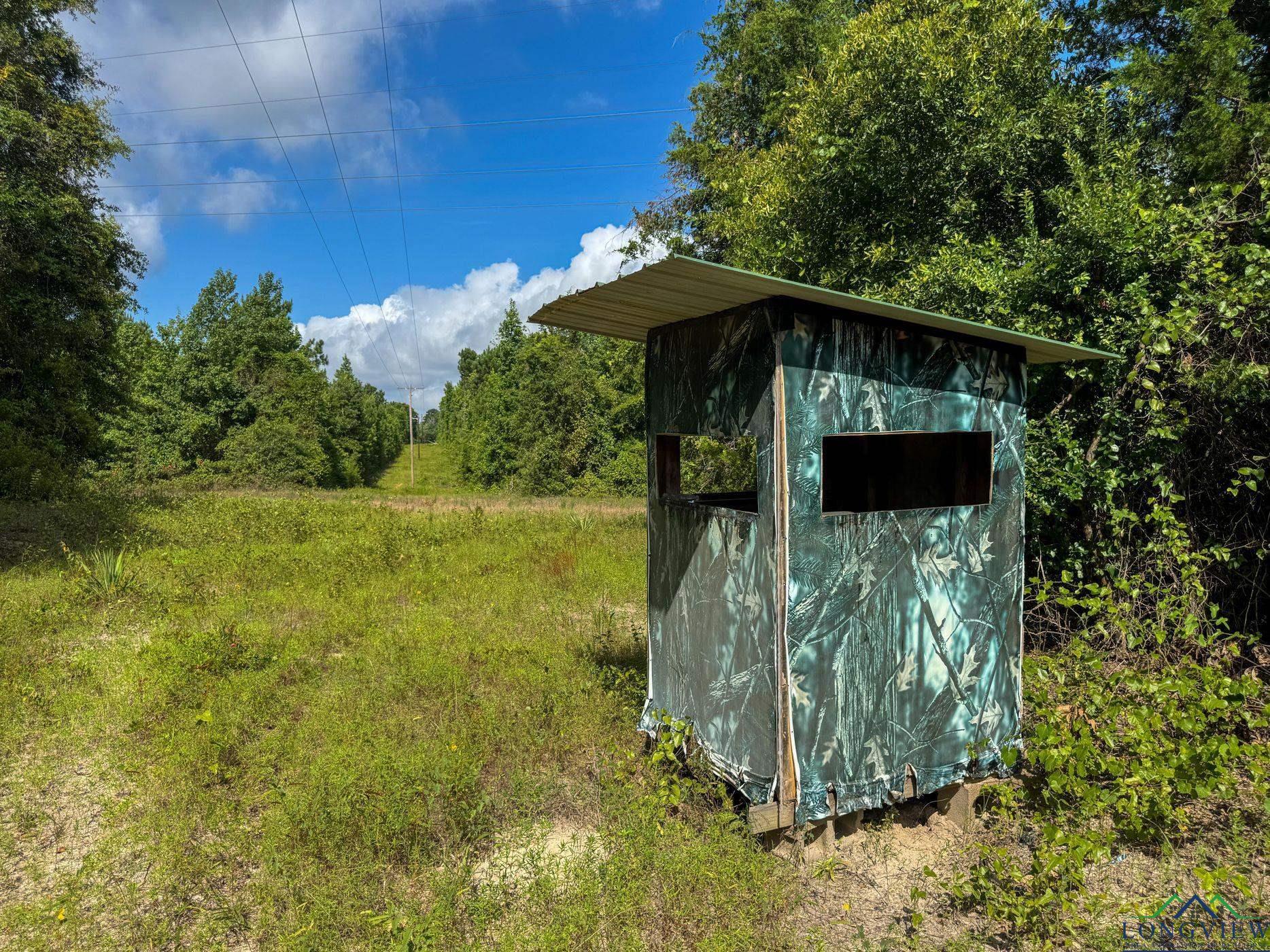 Property Photo: 0000 Cr 1617 (Liberty Church Rd) TX 75630
