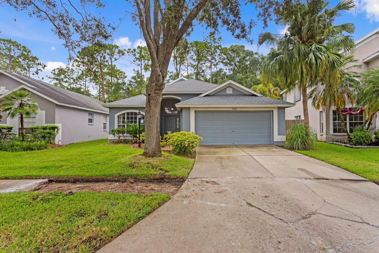 10420 Springrose  Tampa FL 33626 photo