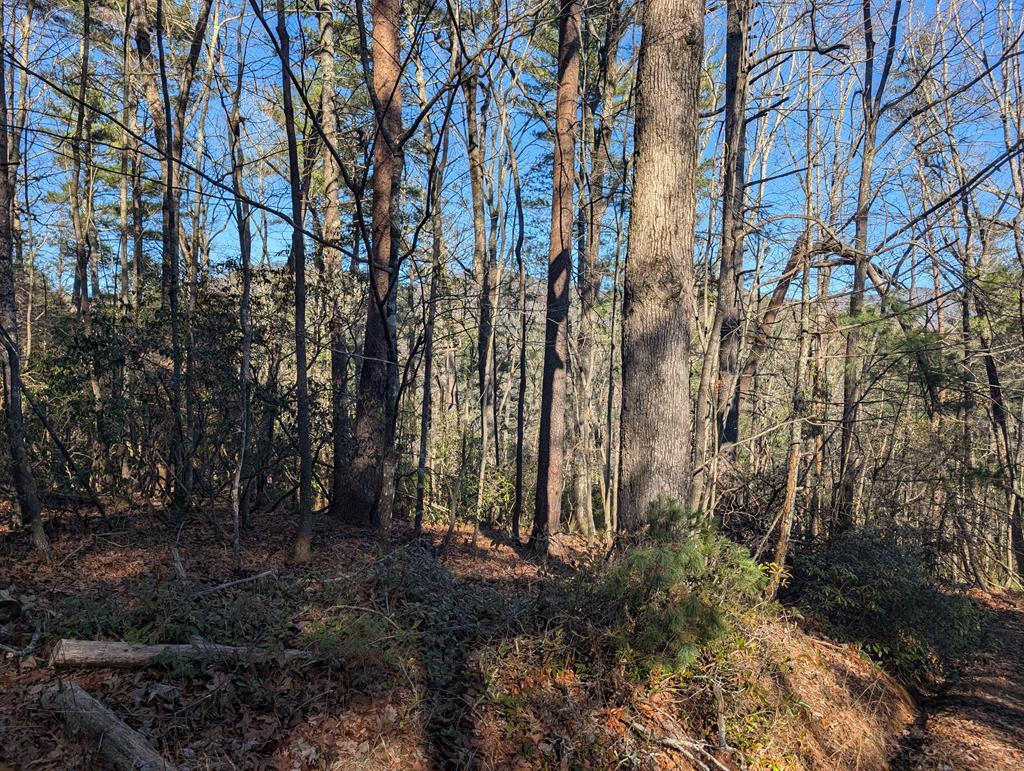 Property Photo: Lot J251 Pine Ridge Court AL 36170