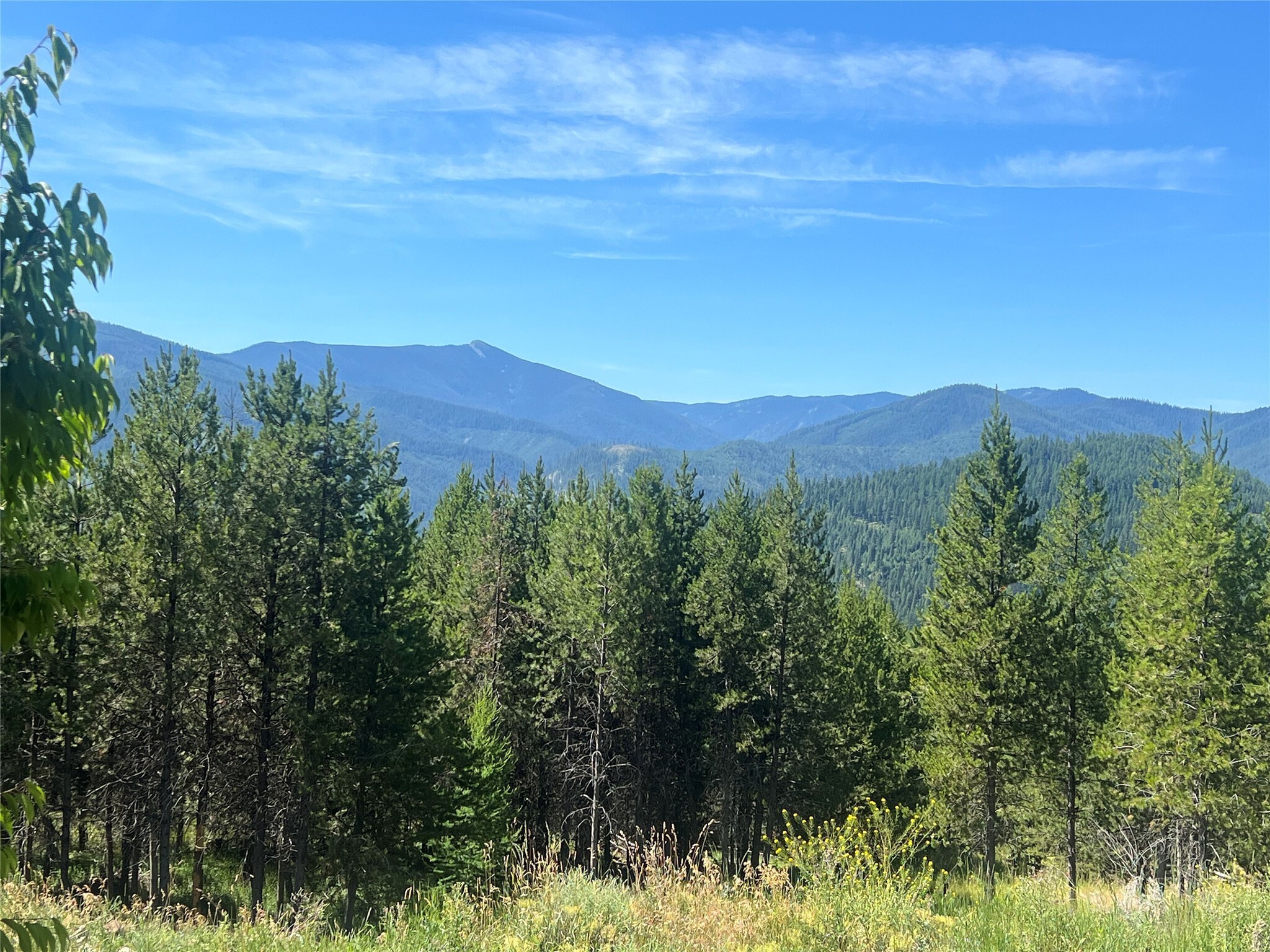 Property Photo:  632 Finley Road  MT 59830 