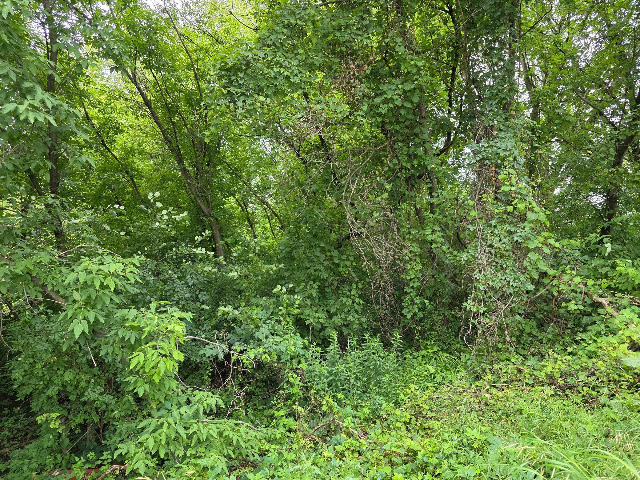 Property Photo:  Tbd Michigan Avenue  MN 56441 