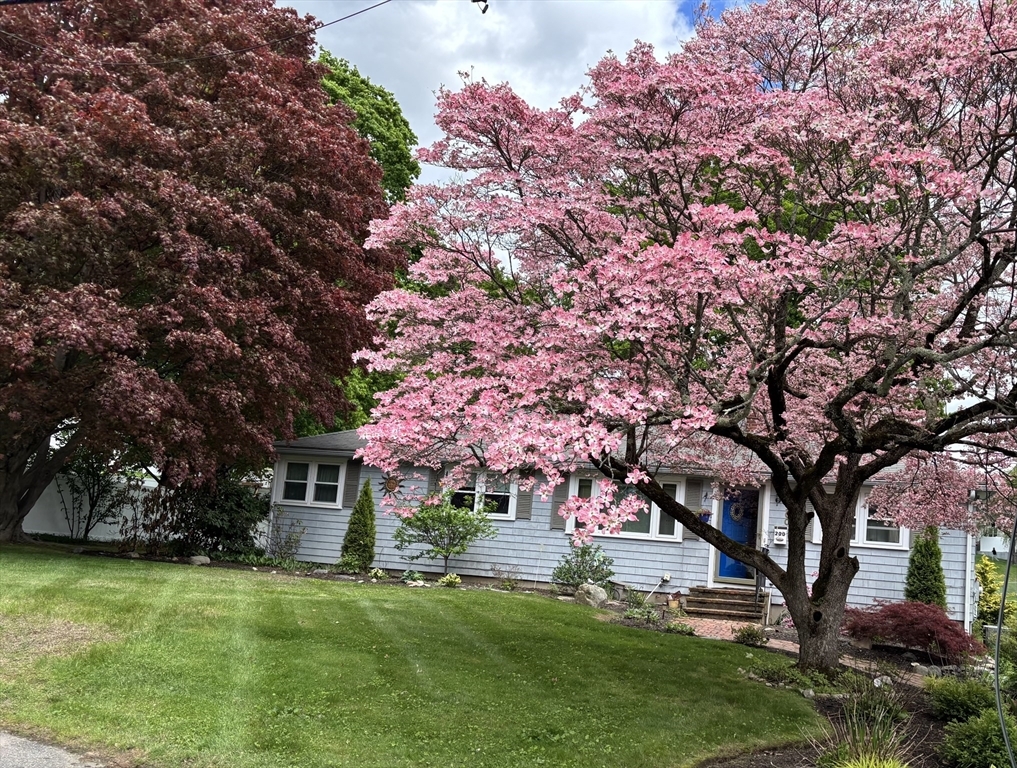 Property Photo: 200 Edgewater Drive MA 01702